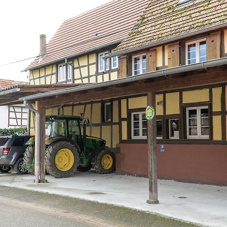 A La Ferme Kurtzenhouse Exterior foto