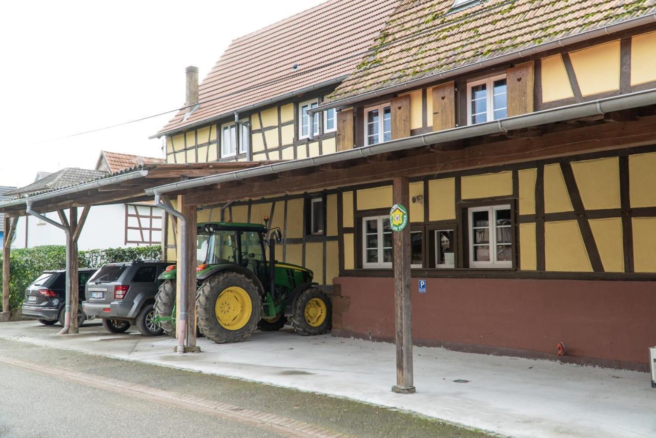 A La Ferme Kurtzenhouse Exterior foto